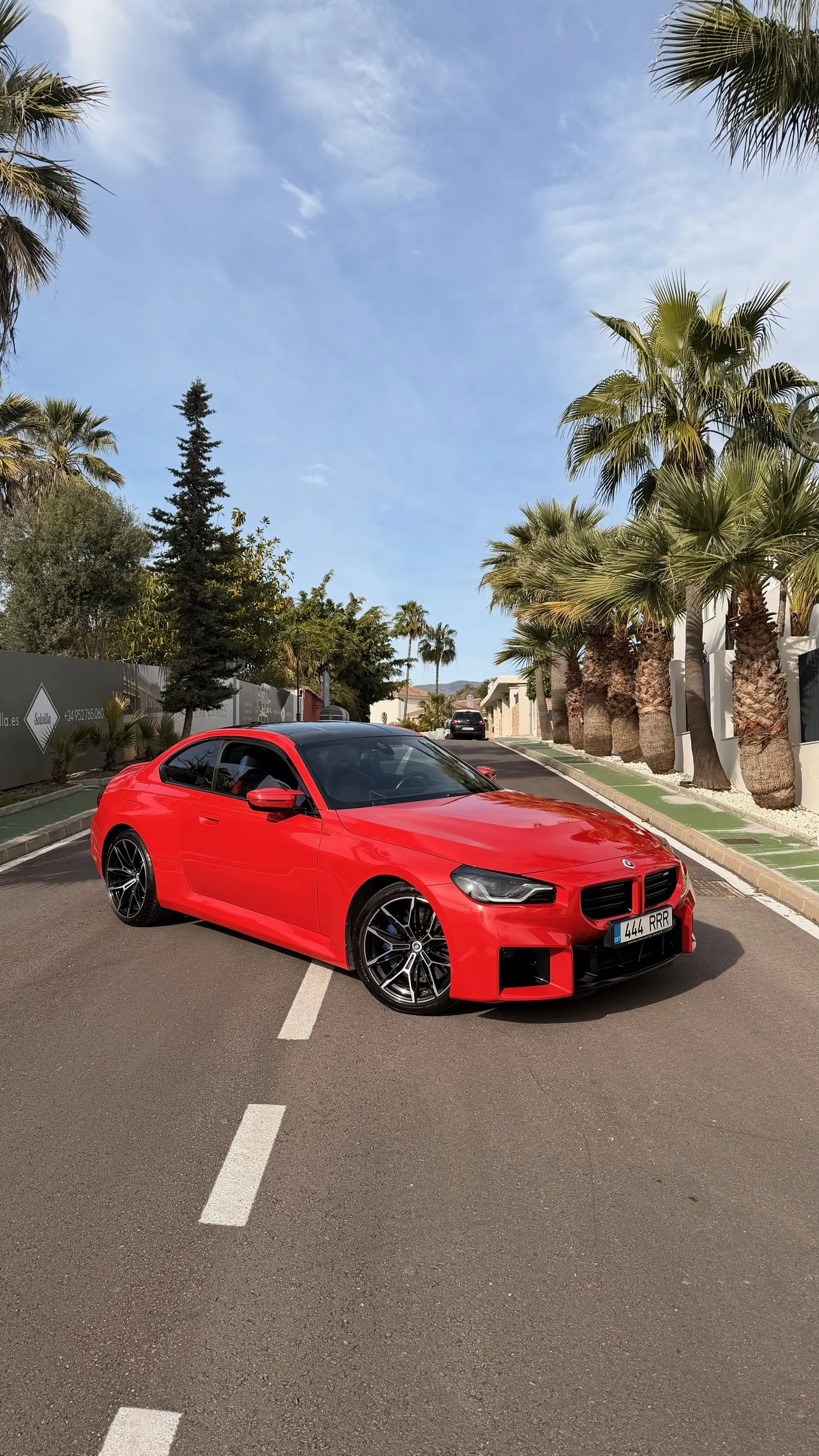 BMW M2 G87 in Toronto Red, front three-quarter view between rows of Marbella palm trees